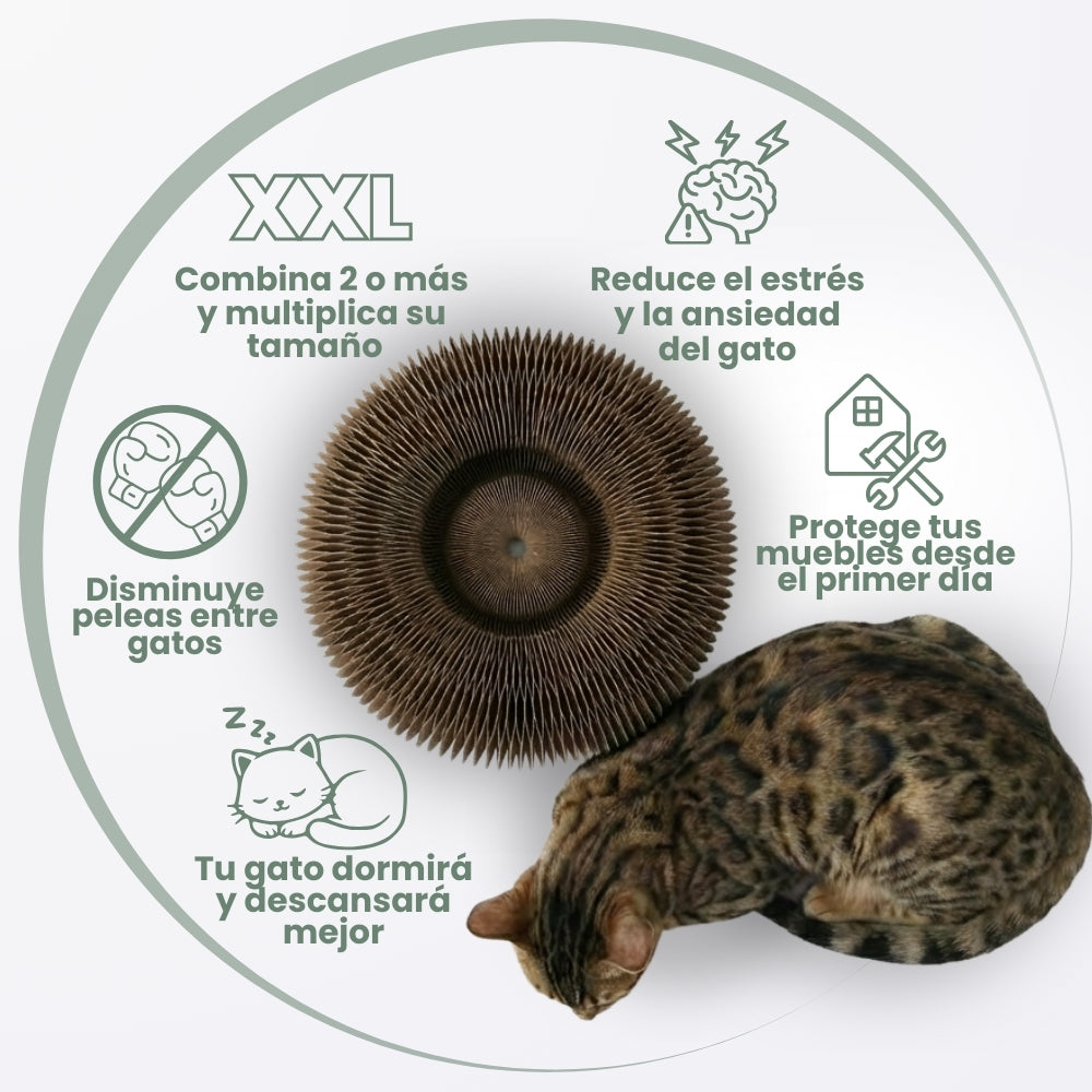 ElGatoZen™ Rascador Tranquilizante Para Gatos