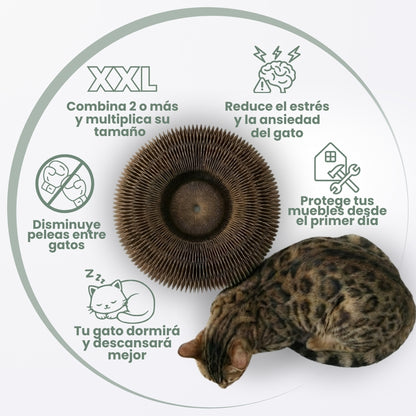 ElGatoZen™ Rascador Tranquilizante Para Gatos